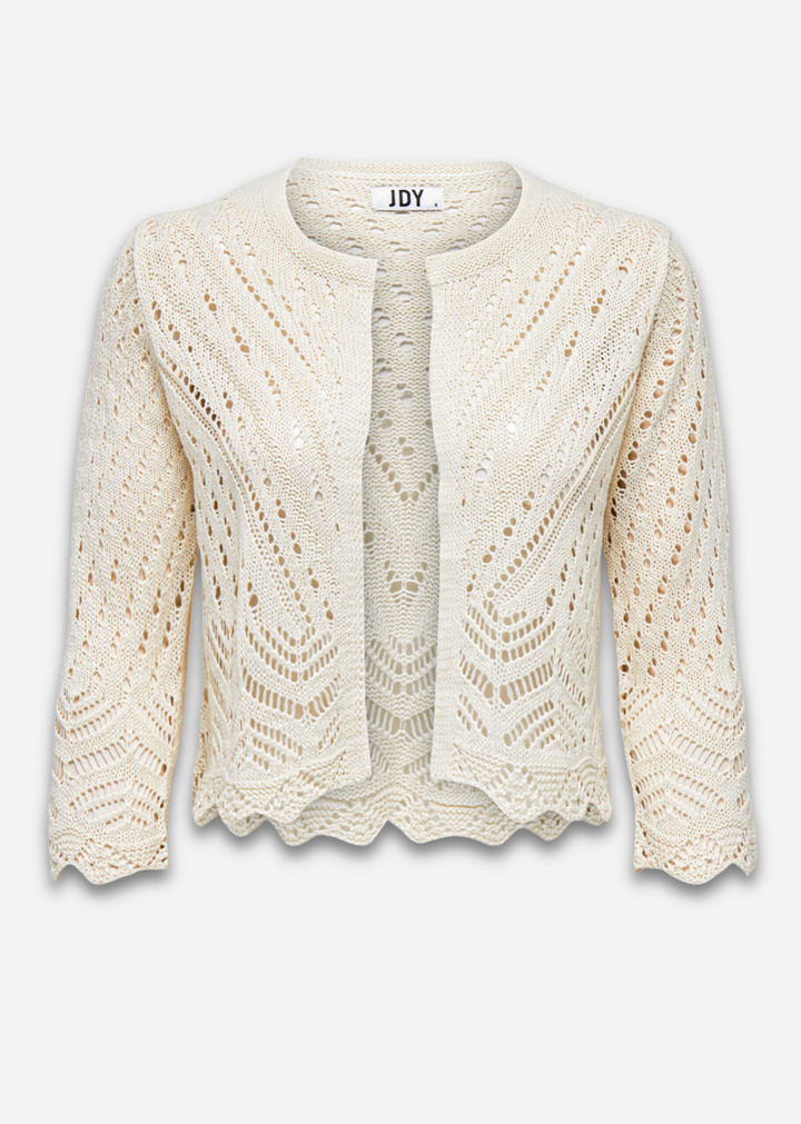 Sunni Crochet Knit Cardigan in Cream